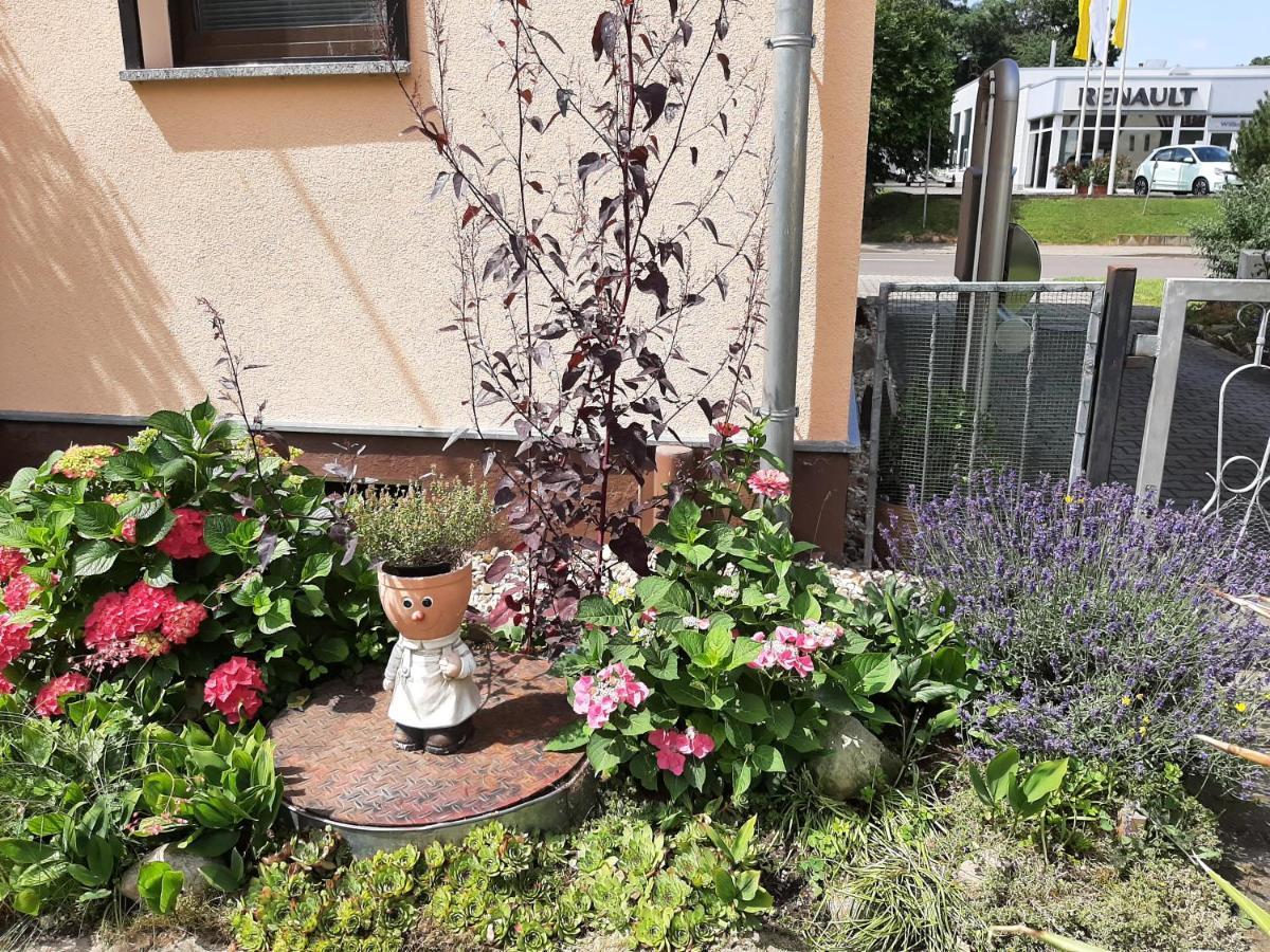 Ferienwohnung Am Park Pegau Exteriör bild
